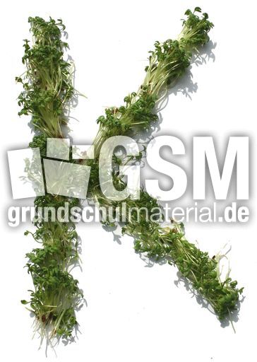 K-wie-Kresse.jpg